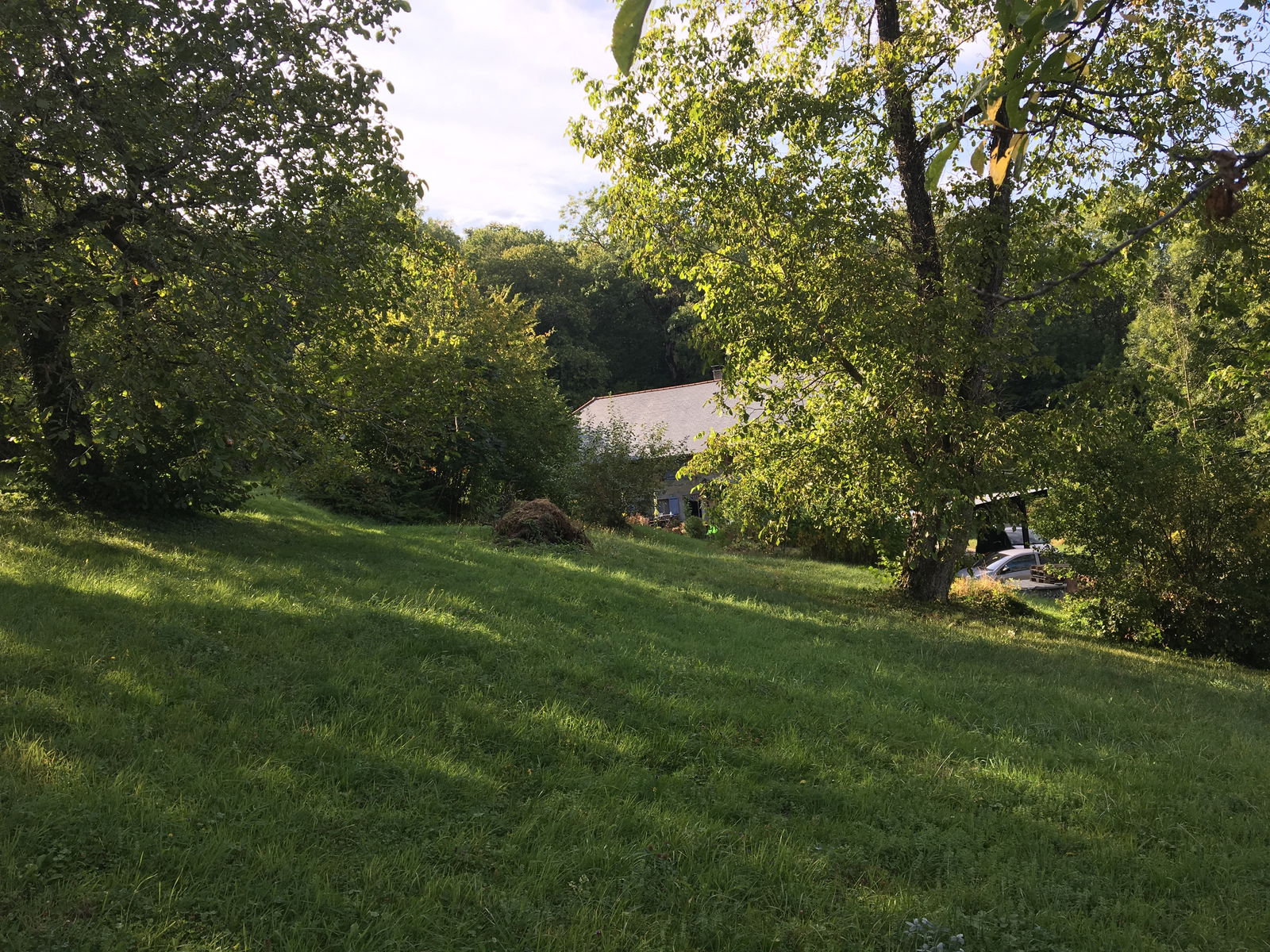 Homestay Thusy 223884