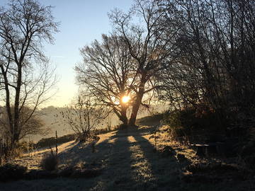 Chambre Chez L'habitant Thusy 223884-6