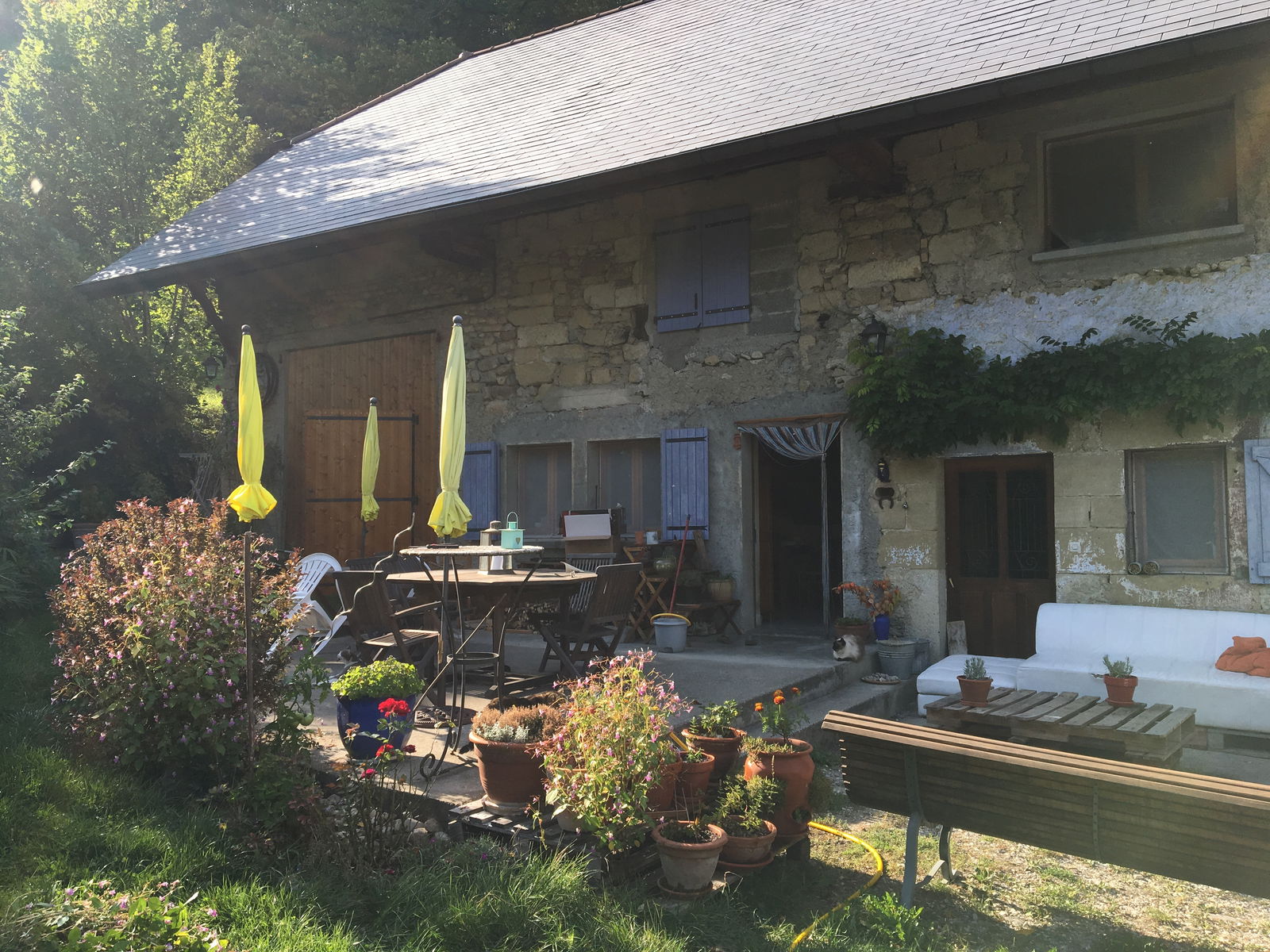 Homestay Thusy 223884