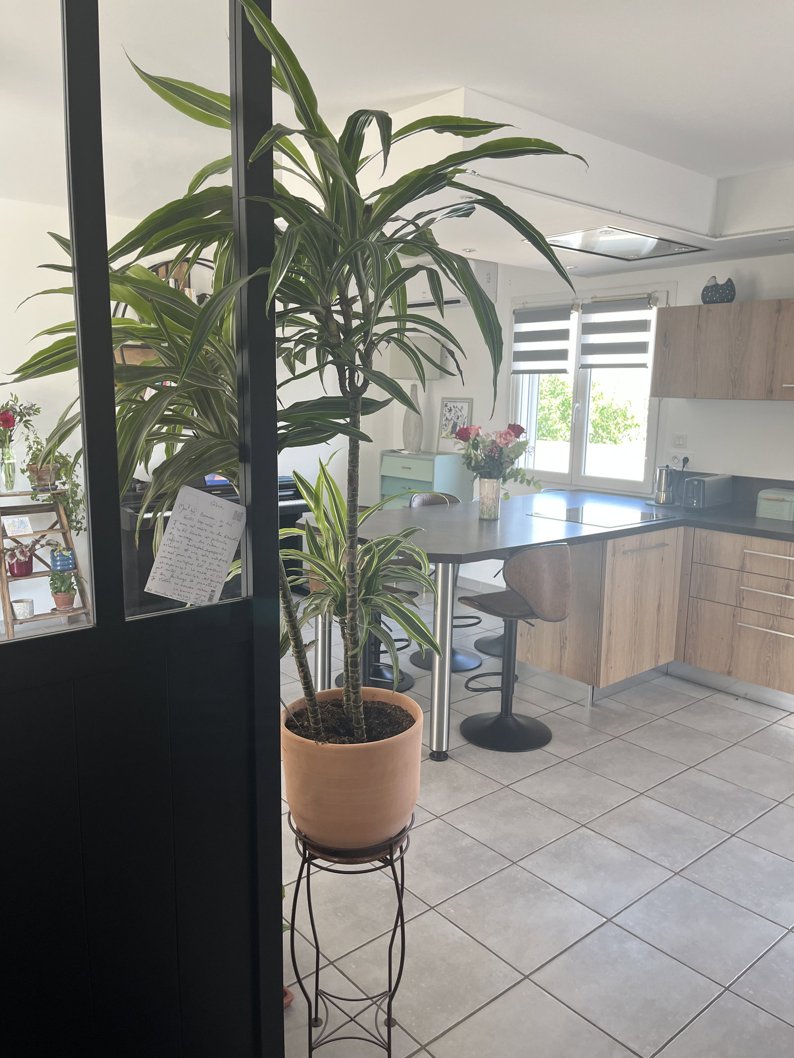 Homestay Bouillargues 670520