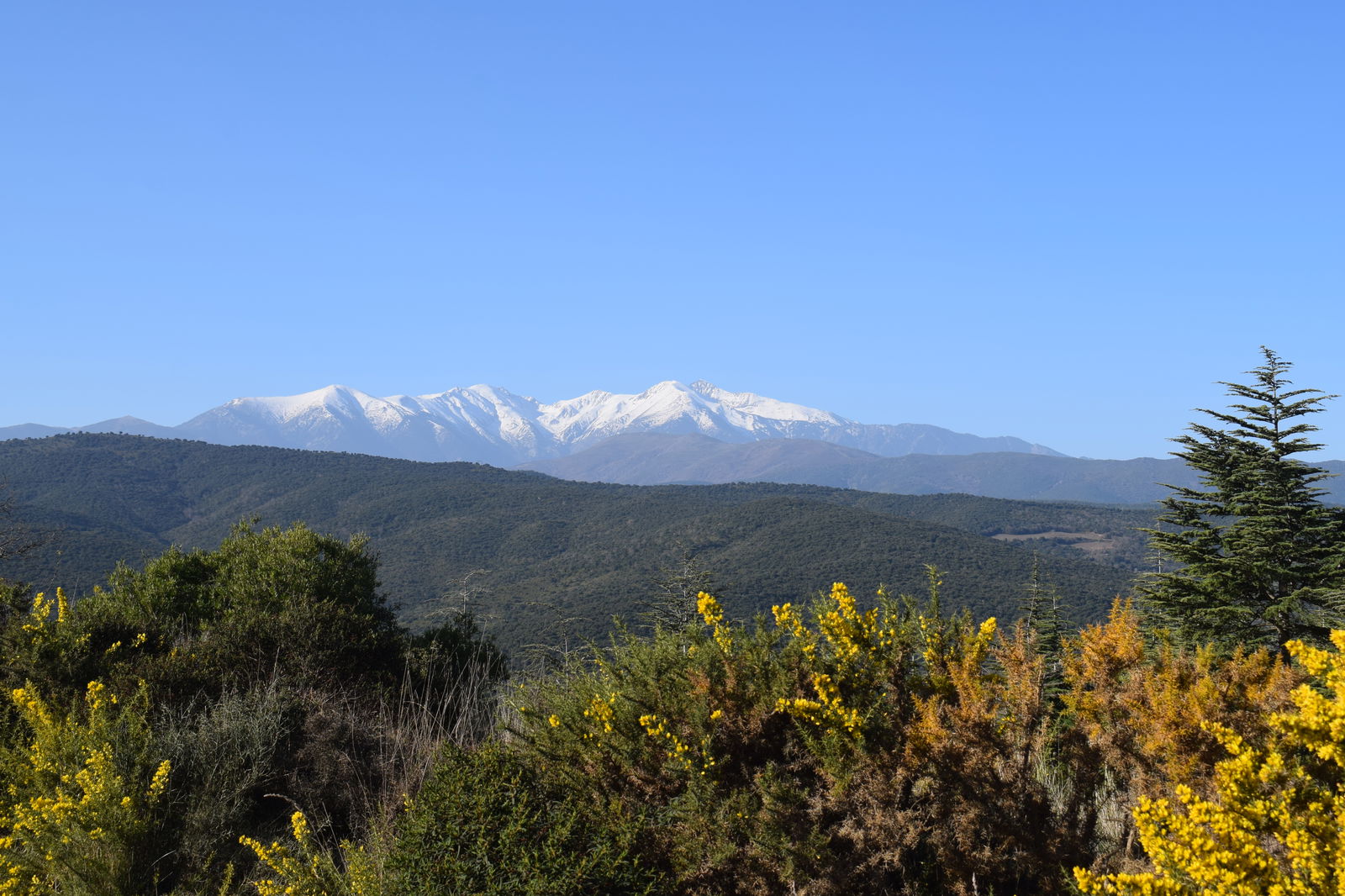 Homestay Corbère-les-Cabanes 263926