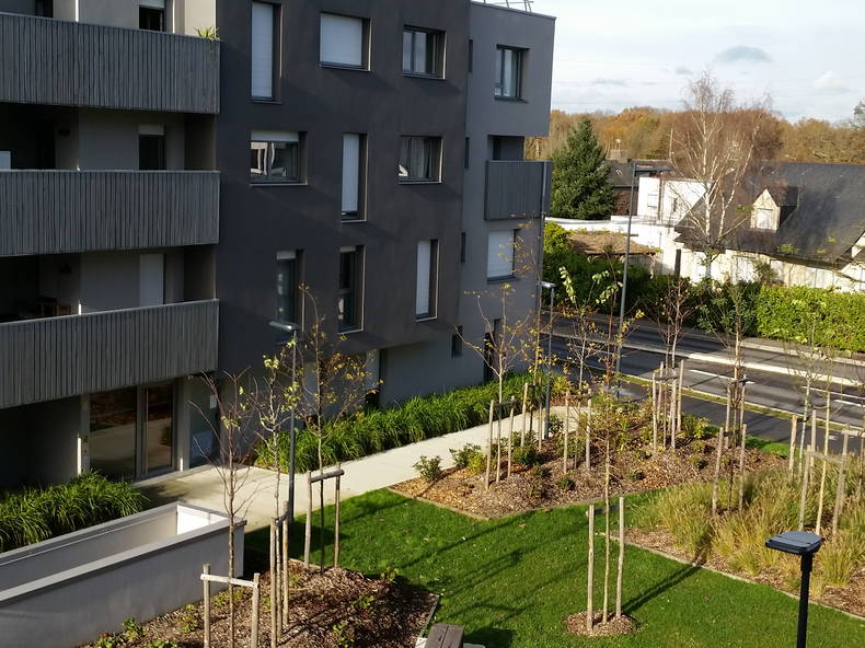 Homestay Bruz 244371-2