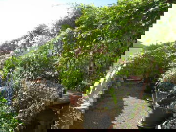 Chambre Chez L'habitant Montpellier 379997-10