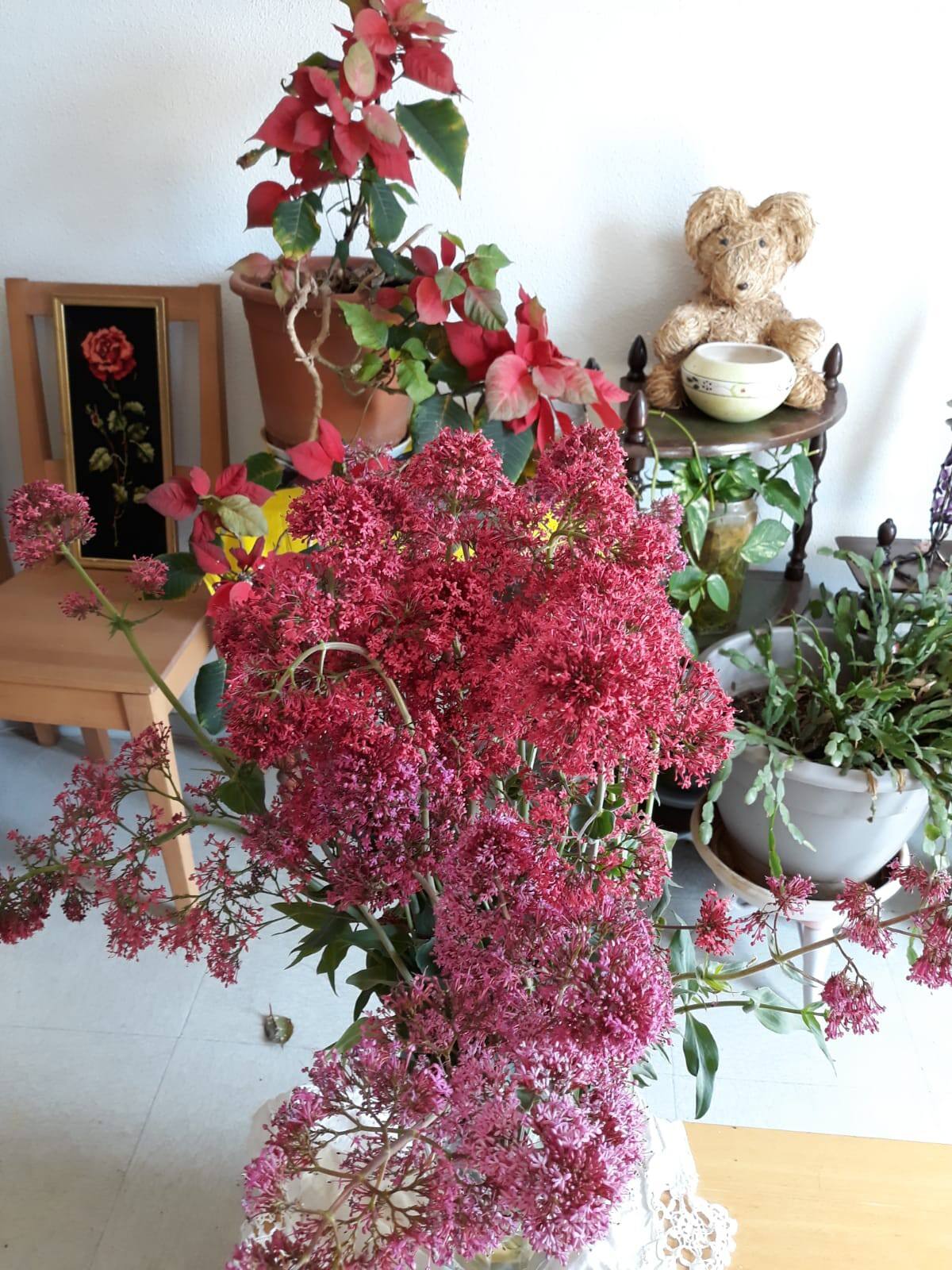 Homestay Montpellier 379997