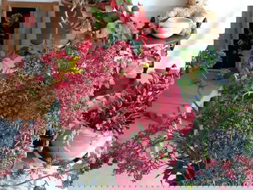 Chambre Chez L'habitant Montpellier 379997-13