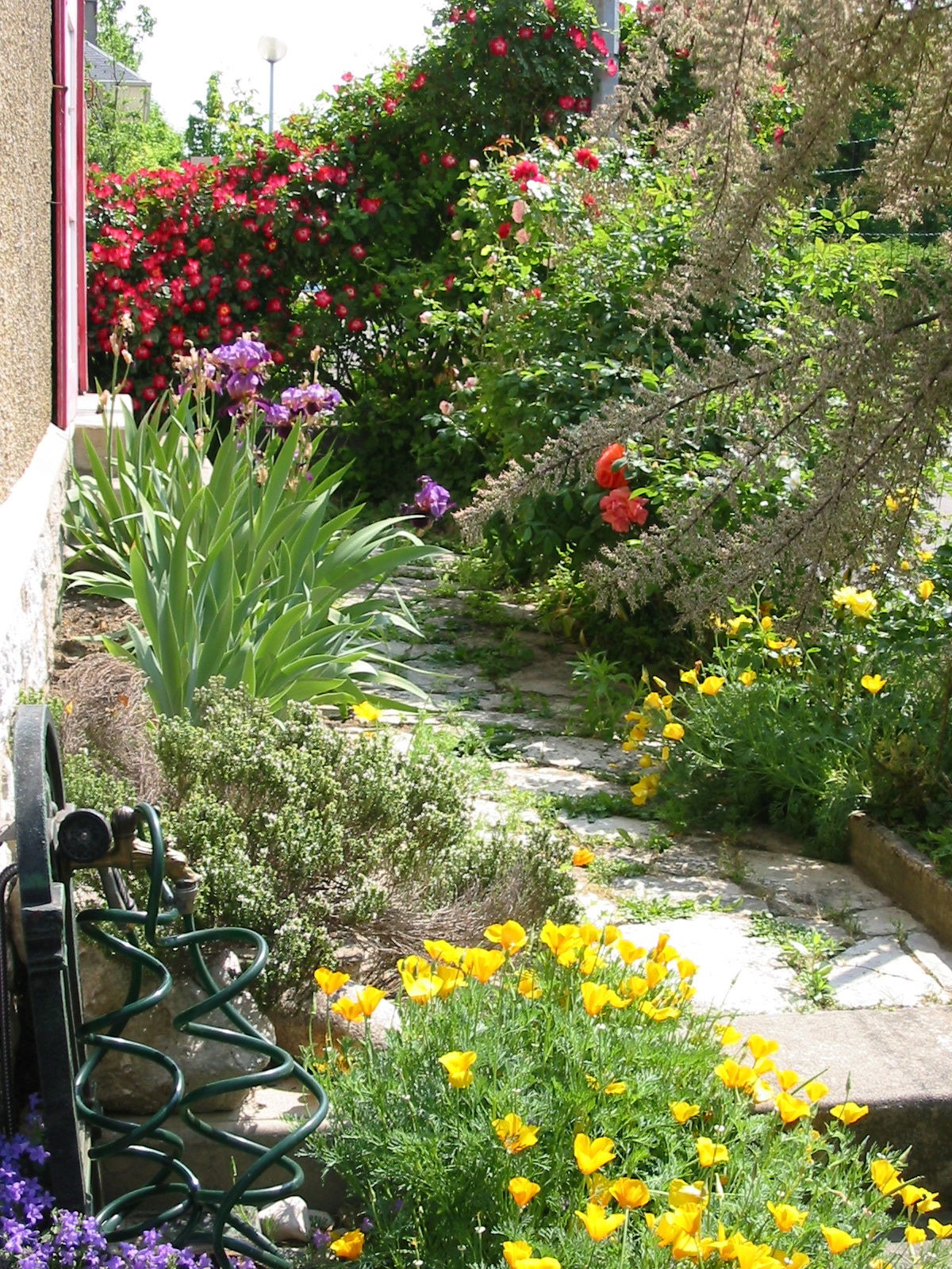 Homestay Chambéry 135072
