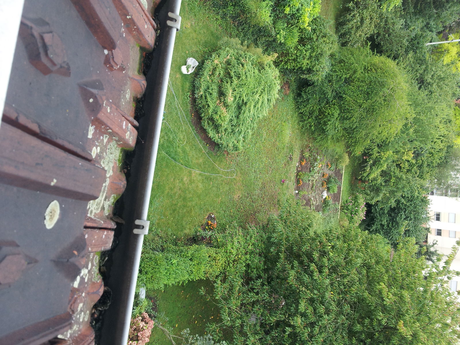 Homestay Rouen 145747