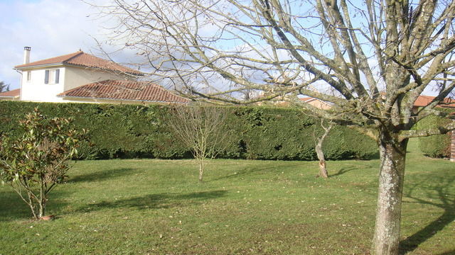 Homestay Lyon 19049