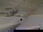 Quedarse En Casa Forest 516604