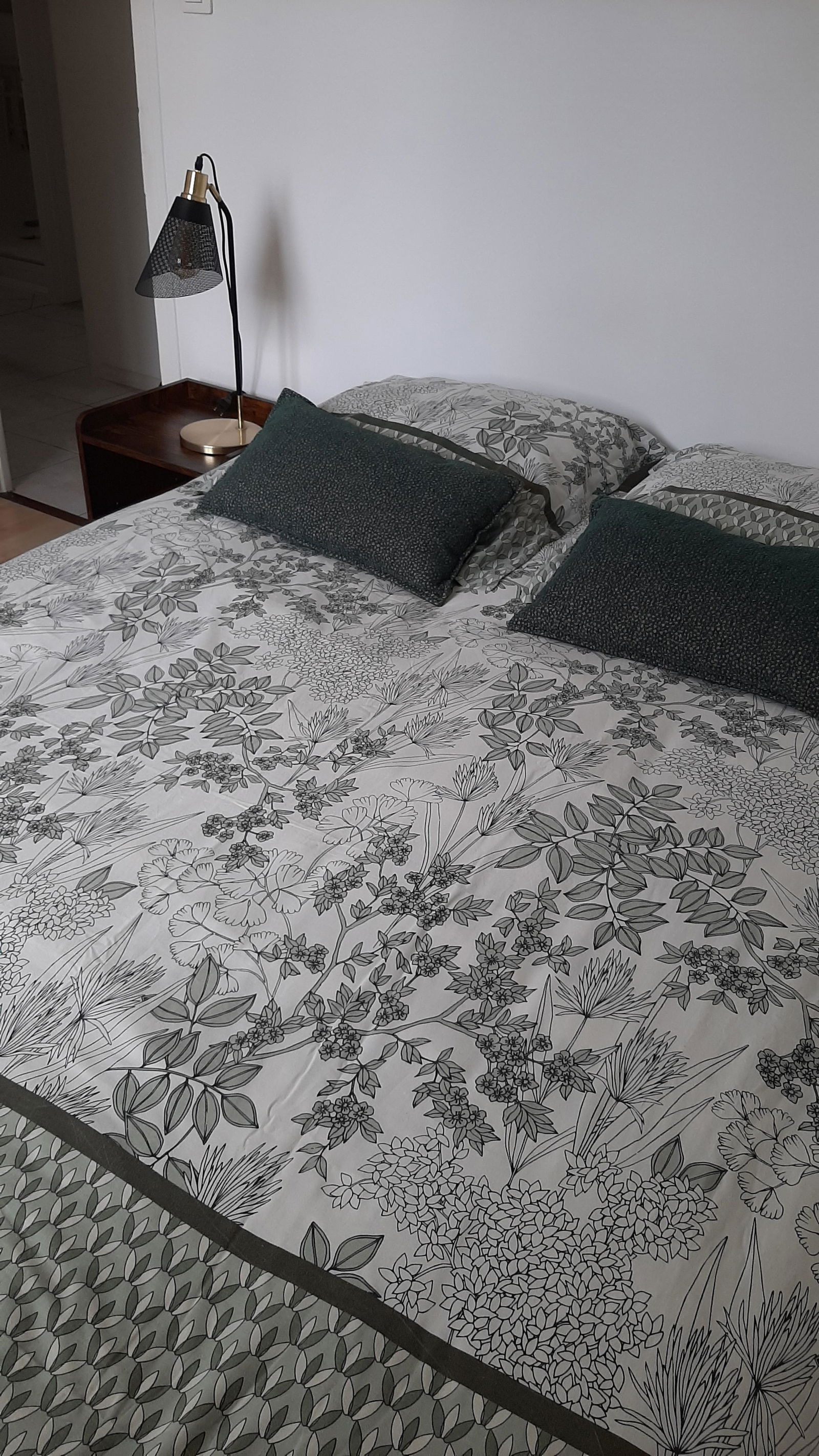 Colocation Ville-la-Grand 156064