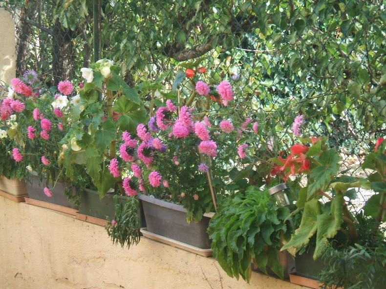 Gastgezin Villeneuve-sur-Lot 259079-5