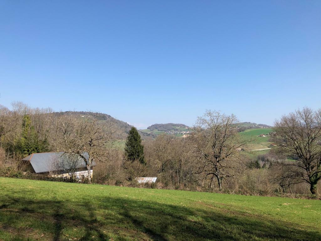 Homestay Thusy 193495