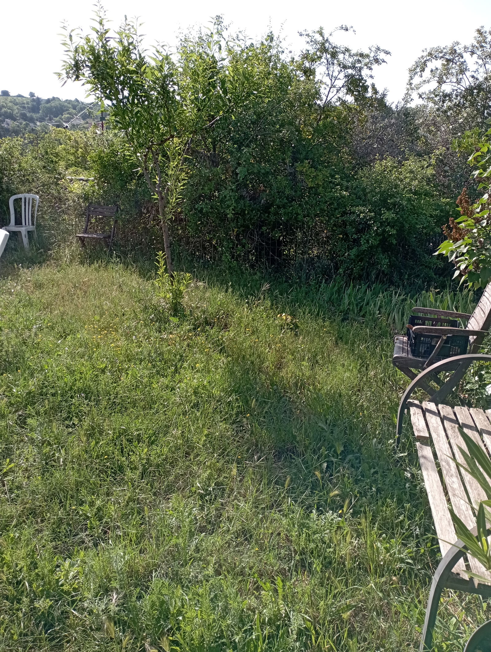 Homestay Valensole 258737