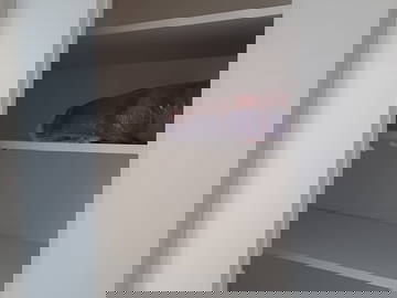 Colocation Ville-La-Grand 258858-6