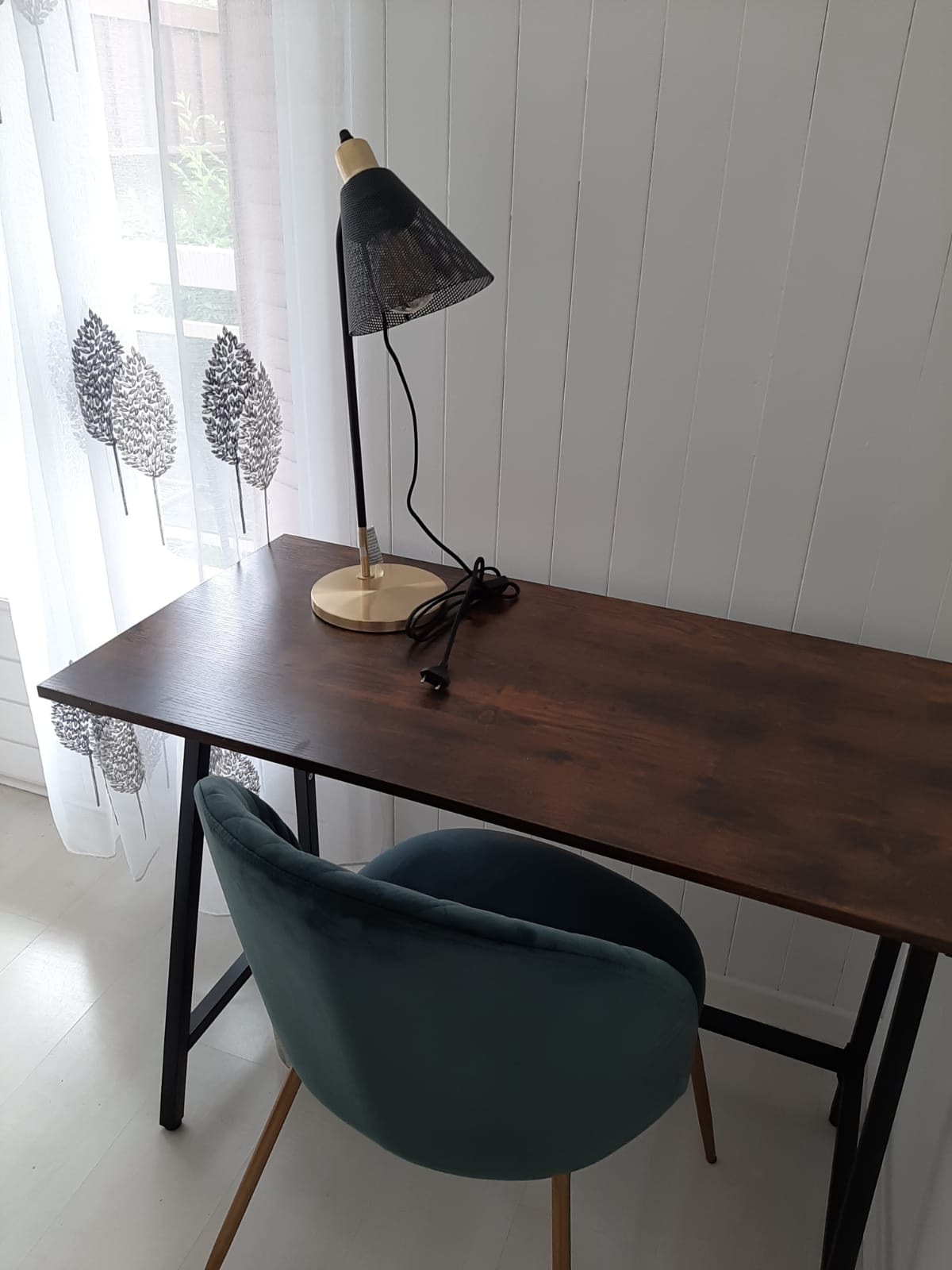 Colocation Ville-la-Grand 258858