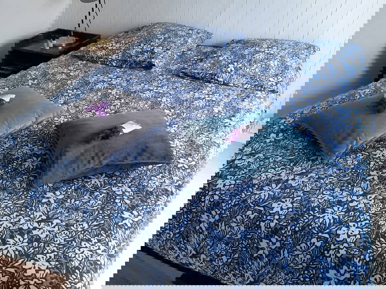 Colocación Ville-la-Grand 258858-1