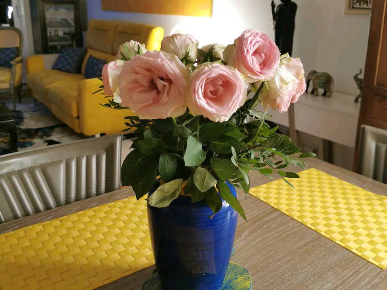 Gastfamilie Rueil-Malmaison 267931-1