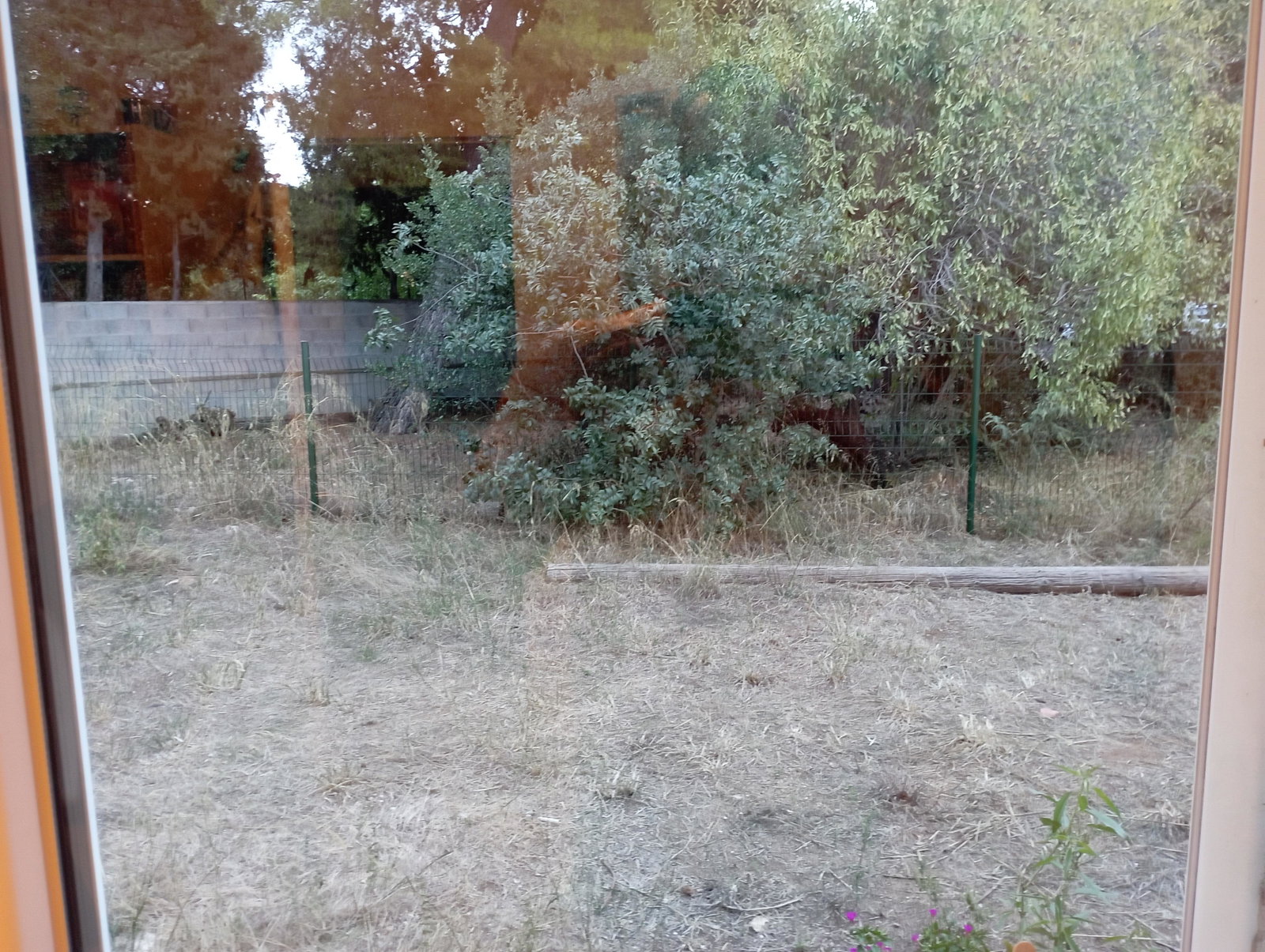 Homestay Marseille 674721