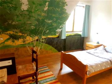 Roomlala | Quiet Roommate In Wavre - Room With The Tree
