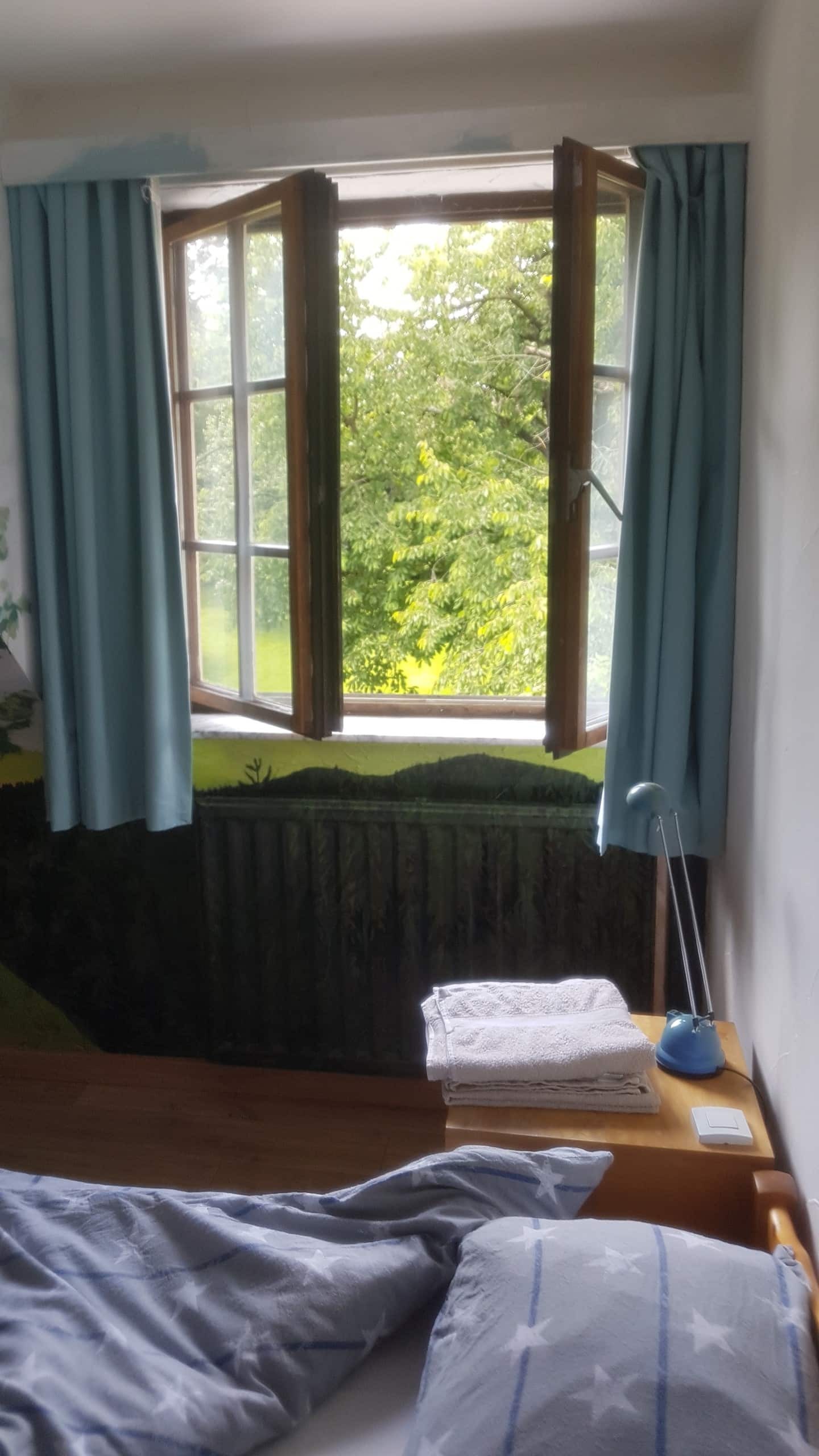 Colocation Wavre 254145