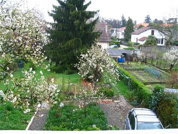 Chambre À Louer Pau 79479