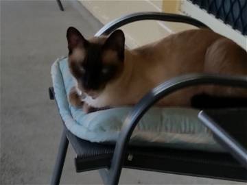 Homestay Belvedere 154301-4