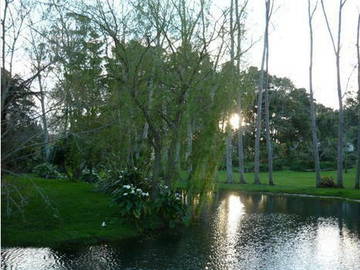 Bed And Breakfast Ohaeawai 166593-9