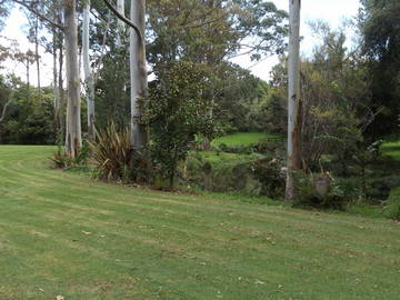 Bed And Breakfast Ohaeawai 166593-10