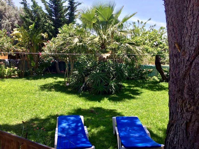 Toda La Casa Algoz 226826