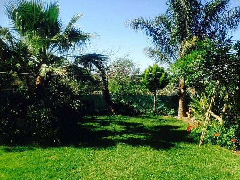 Toda La Casa Algoz 226826-5