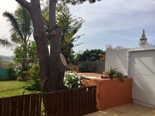 Toda La Casa Algoz 226826