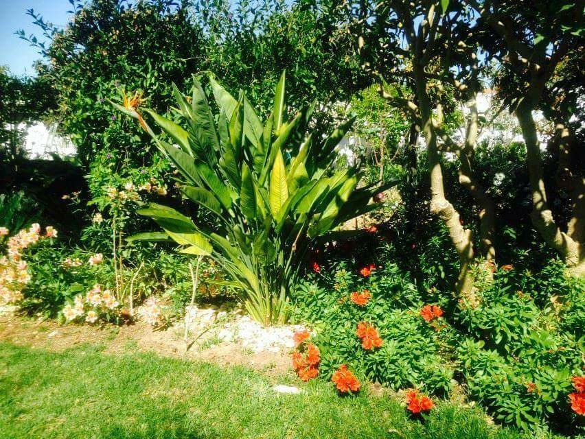 Toda La Casa Algoz 226826