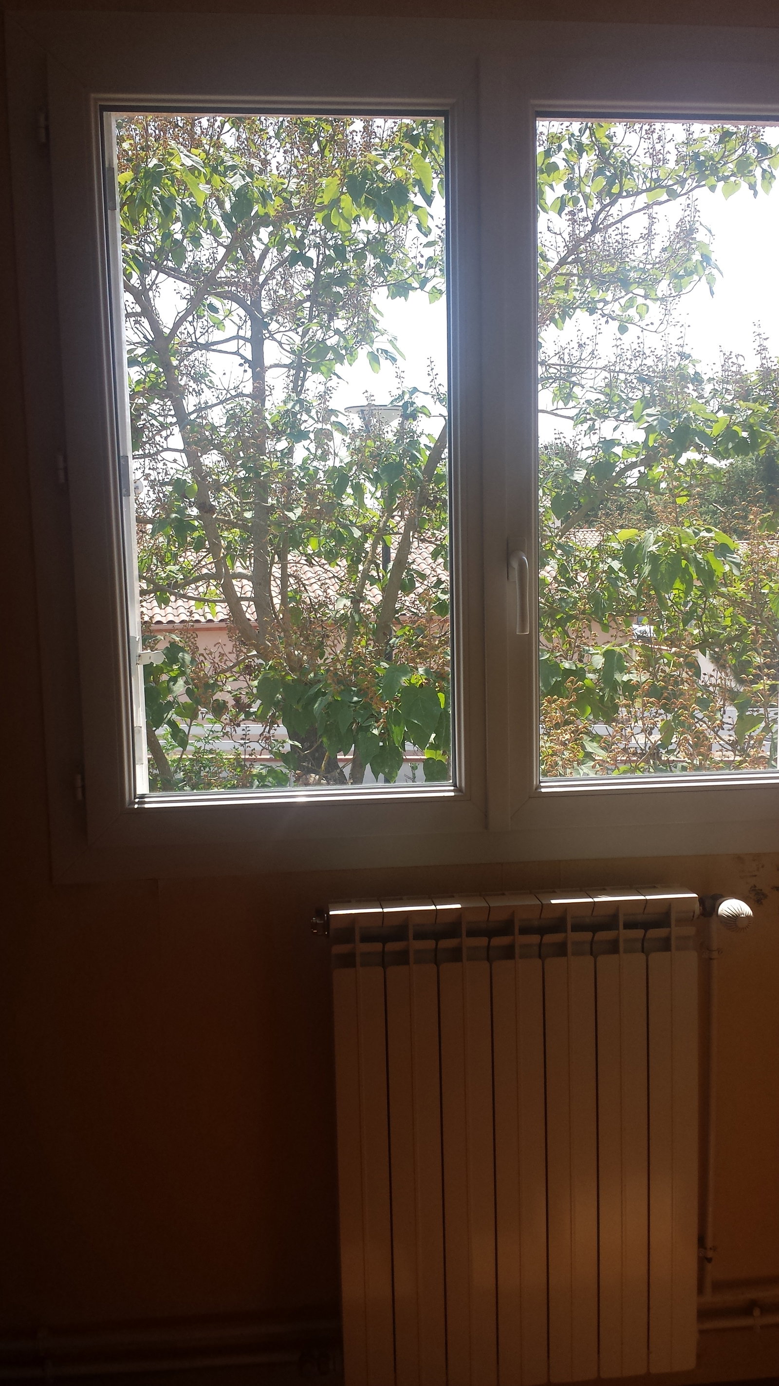 Homestay Toulouse 105305