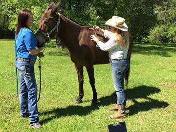 Roomlala | Ranch Esecutivo, Montgomery, Texas