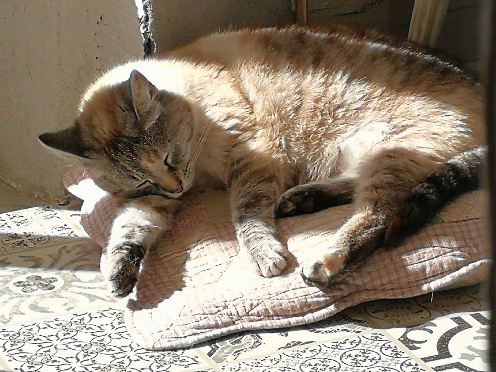 Hospedagem Em Casa De Família Brest 210022