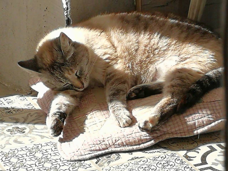 Quedarse En Casa Brest 210022-5