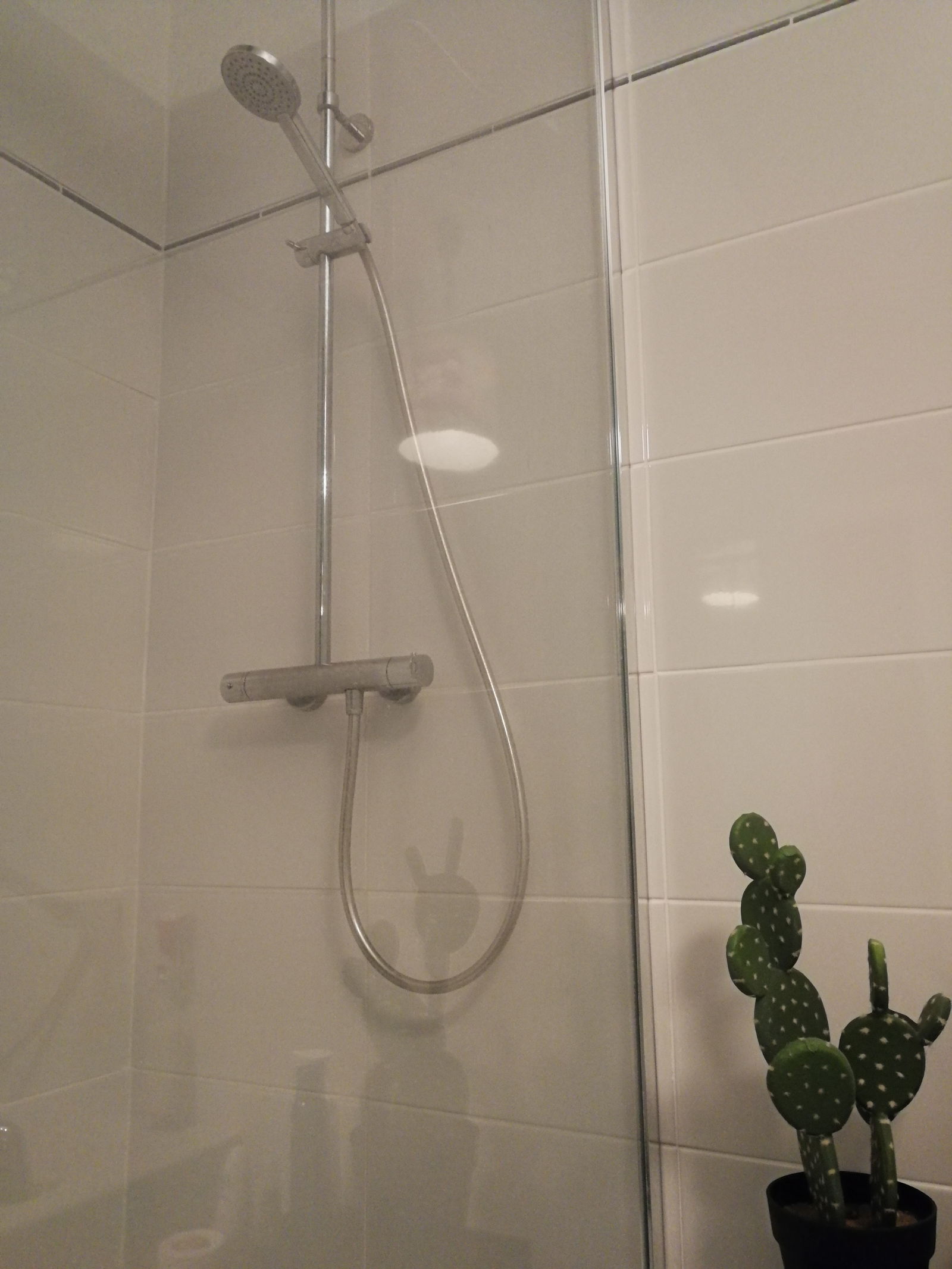 Homestay Brest 210022