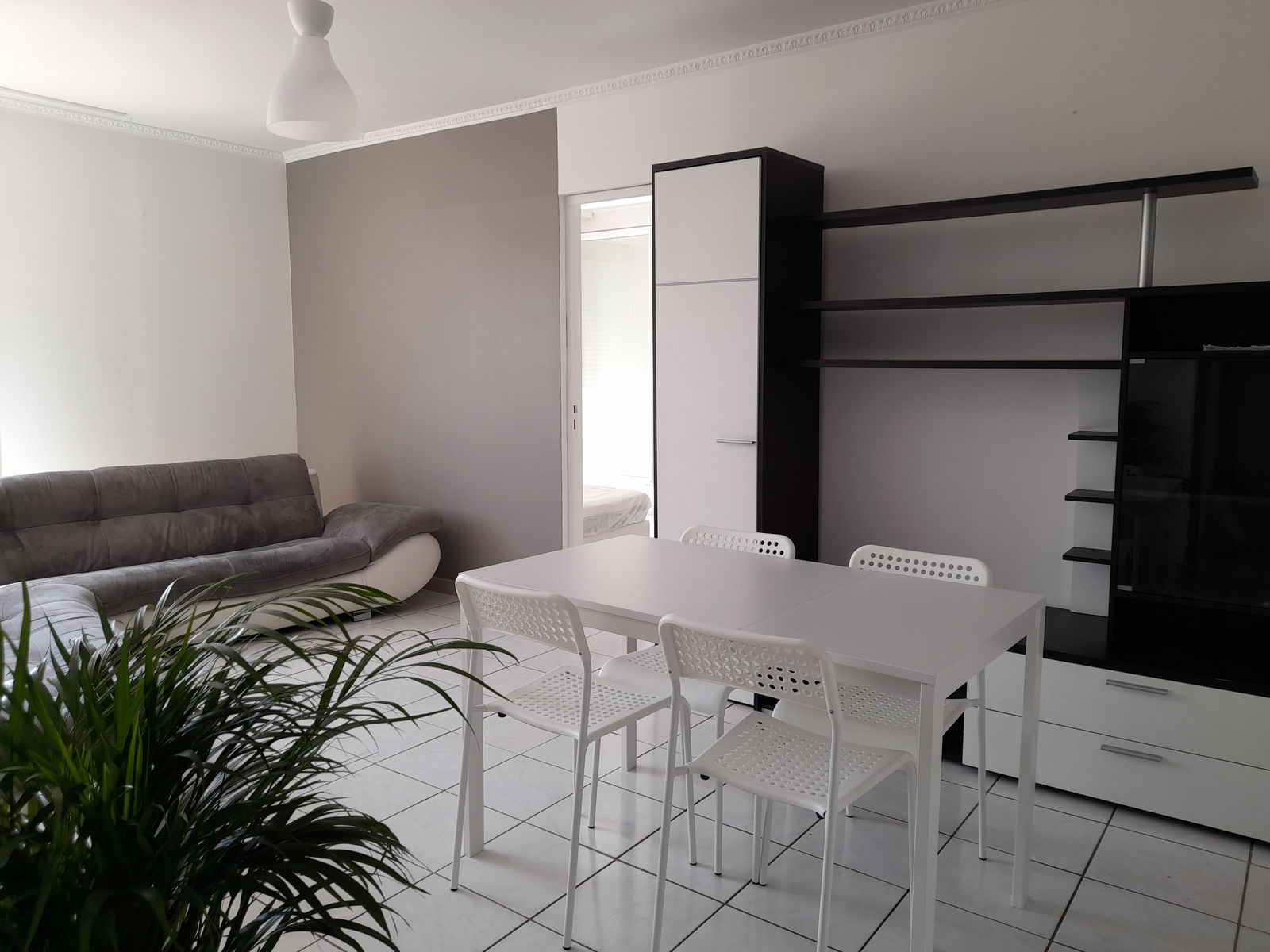 Colocation Montpellier 256909