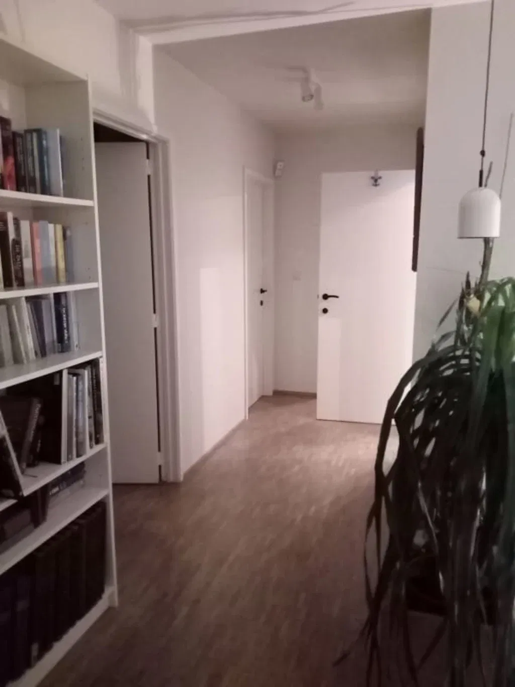 Homestay Dilbeek 331033