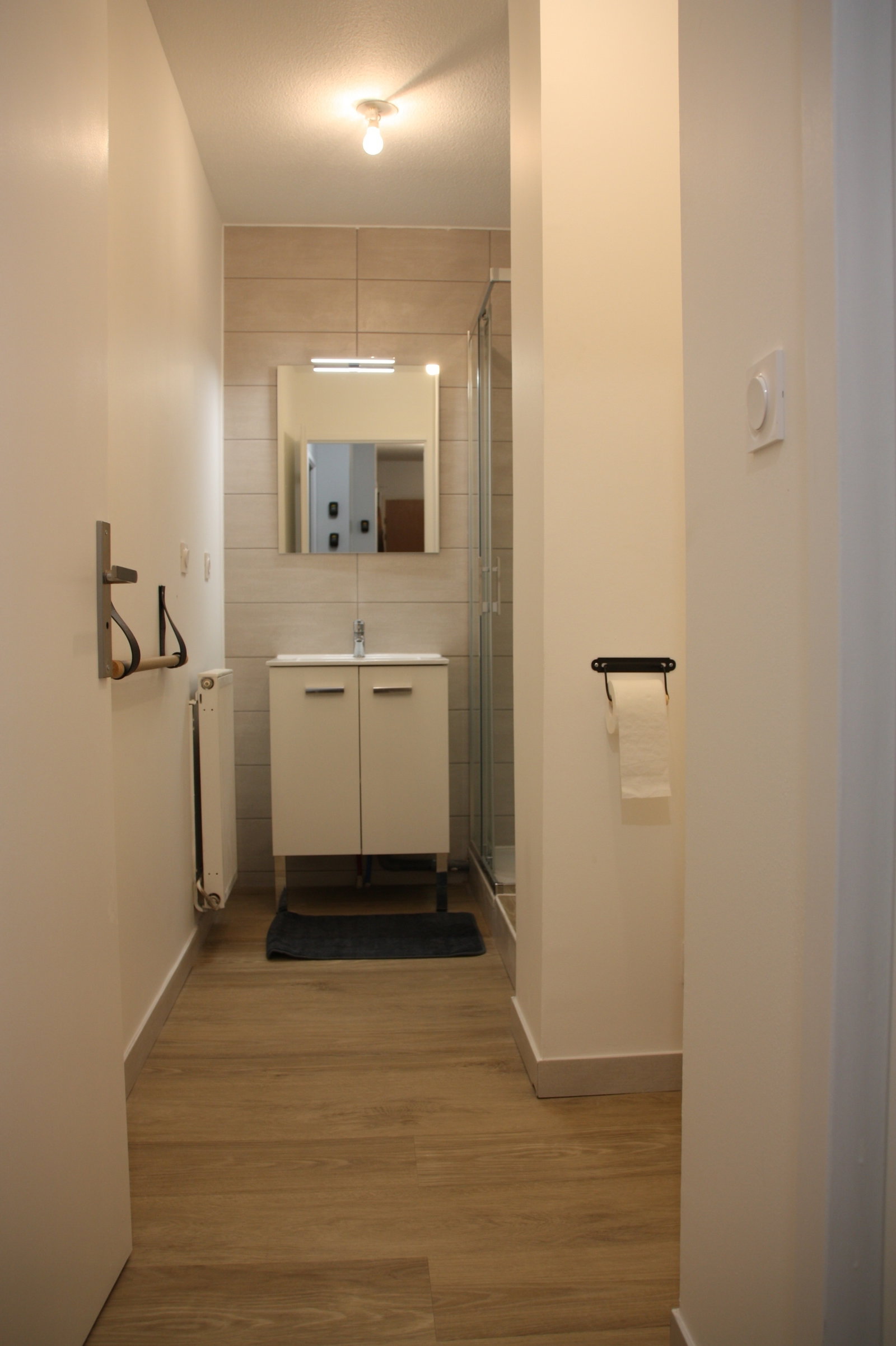 Colocation Toulouse 246331