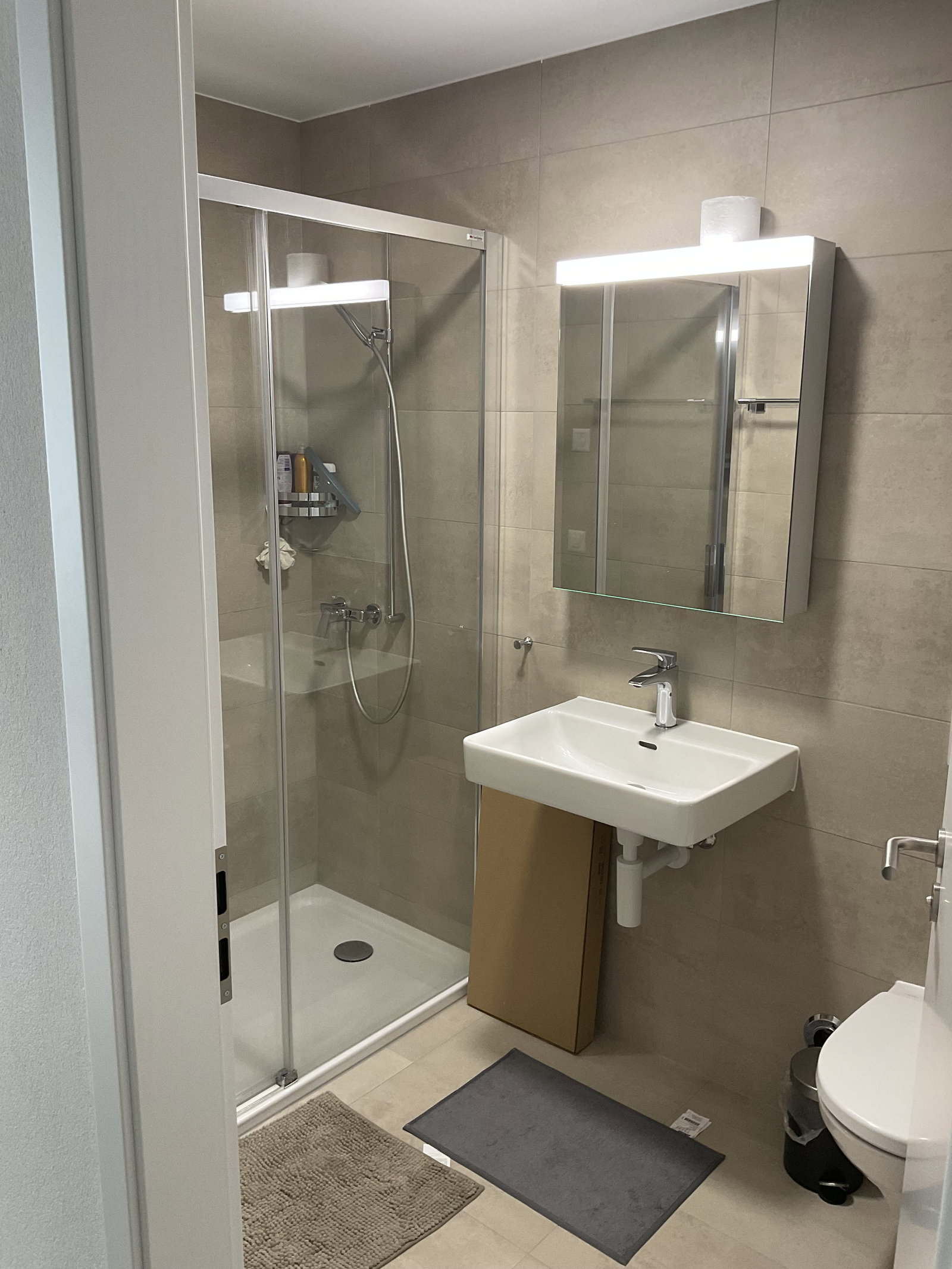 Homestay Crissier 379421