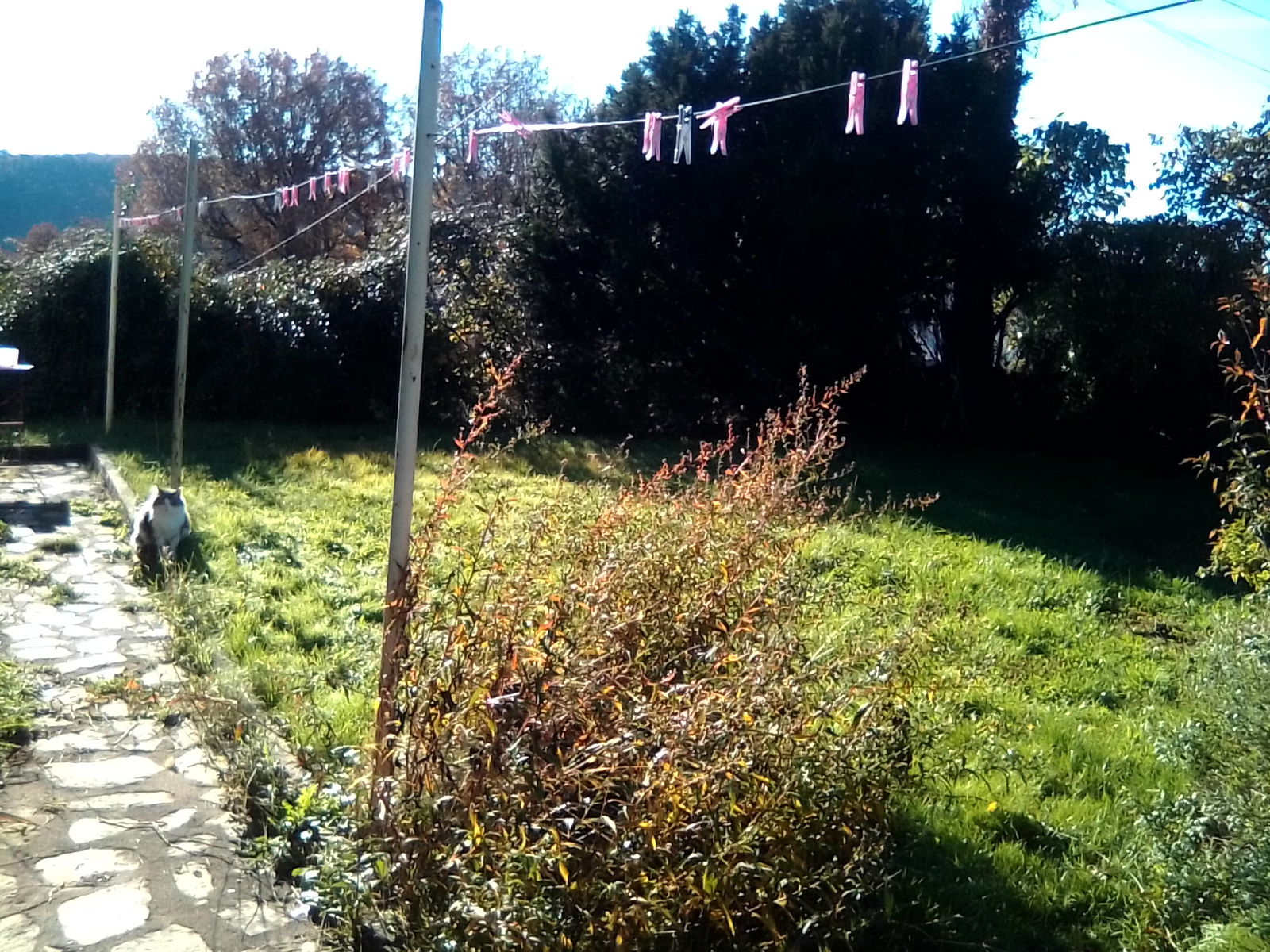 Homestay Cahors 497526