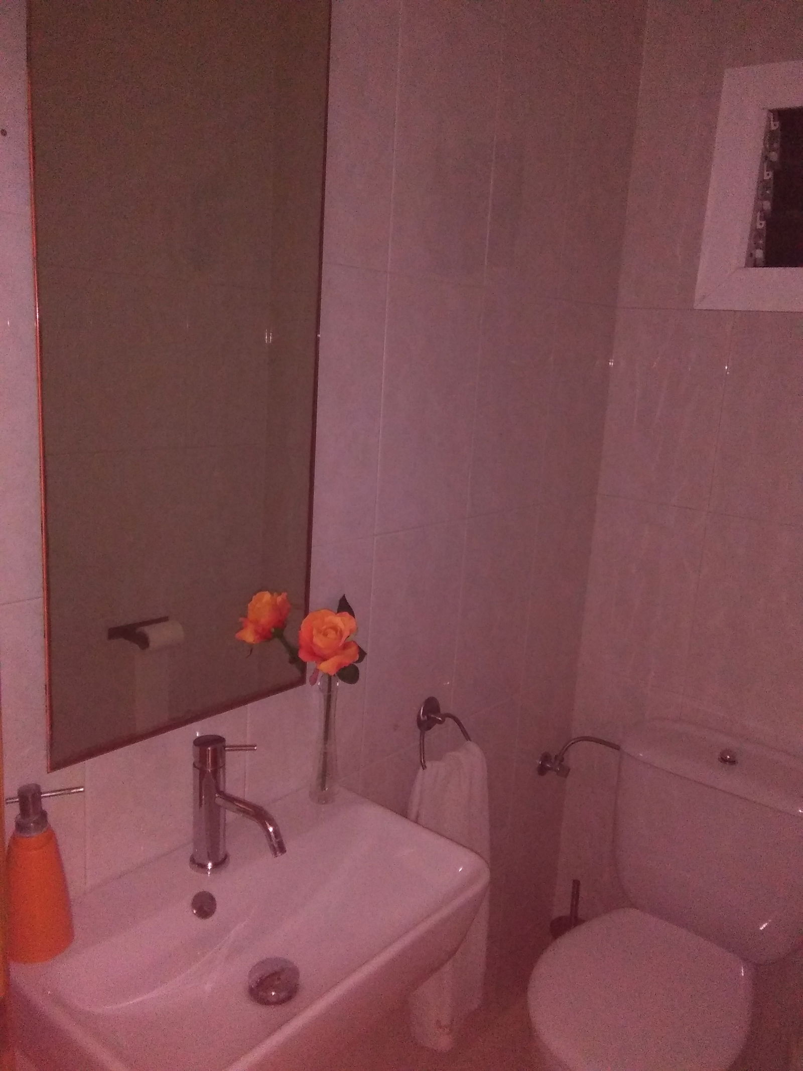 Homestay Inca 148482