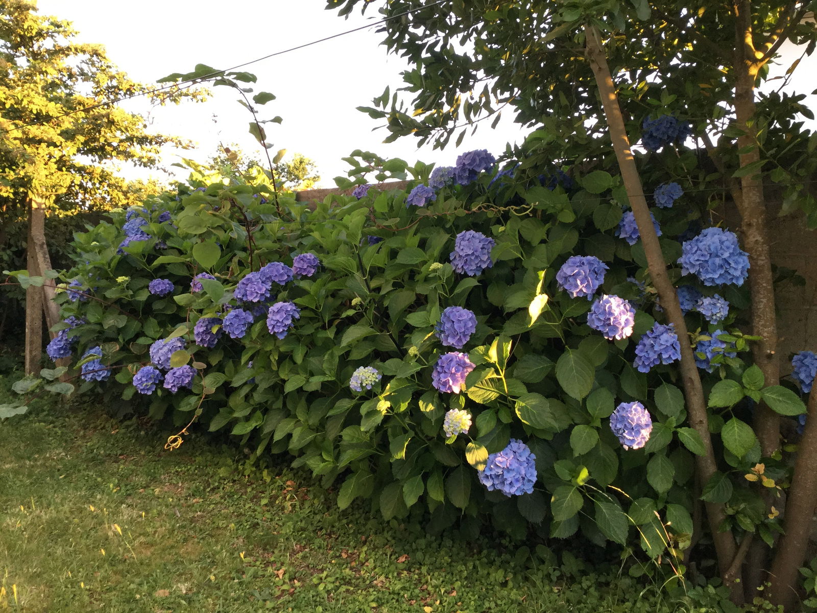 Homestay Quimperlé 233571