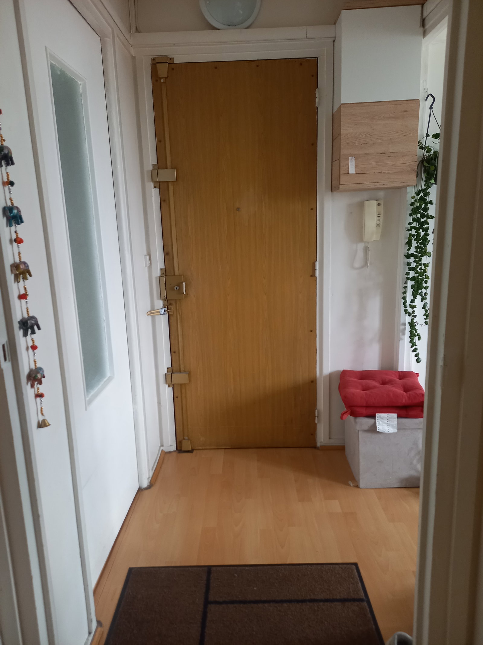 Colocation Villejuif 253485