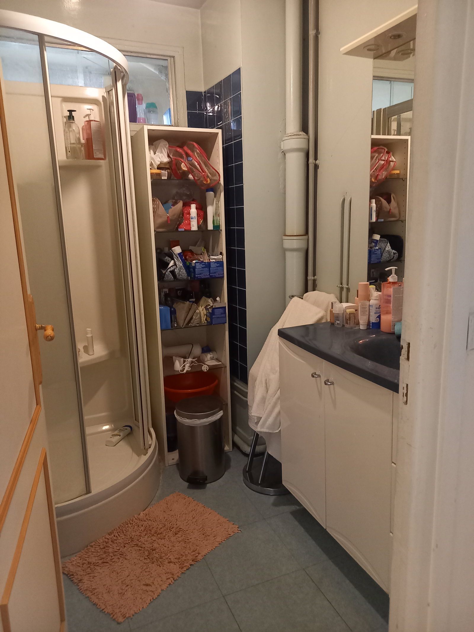 Colocation Villejuif 253485