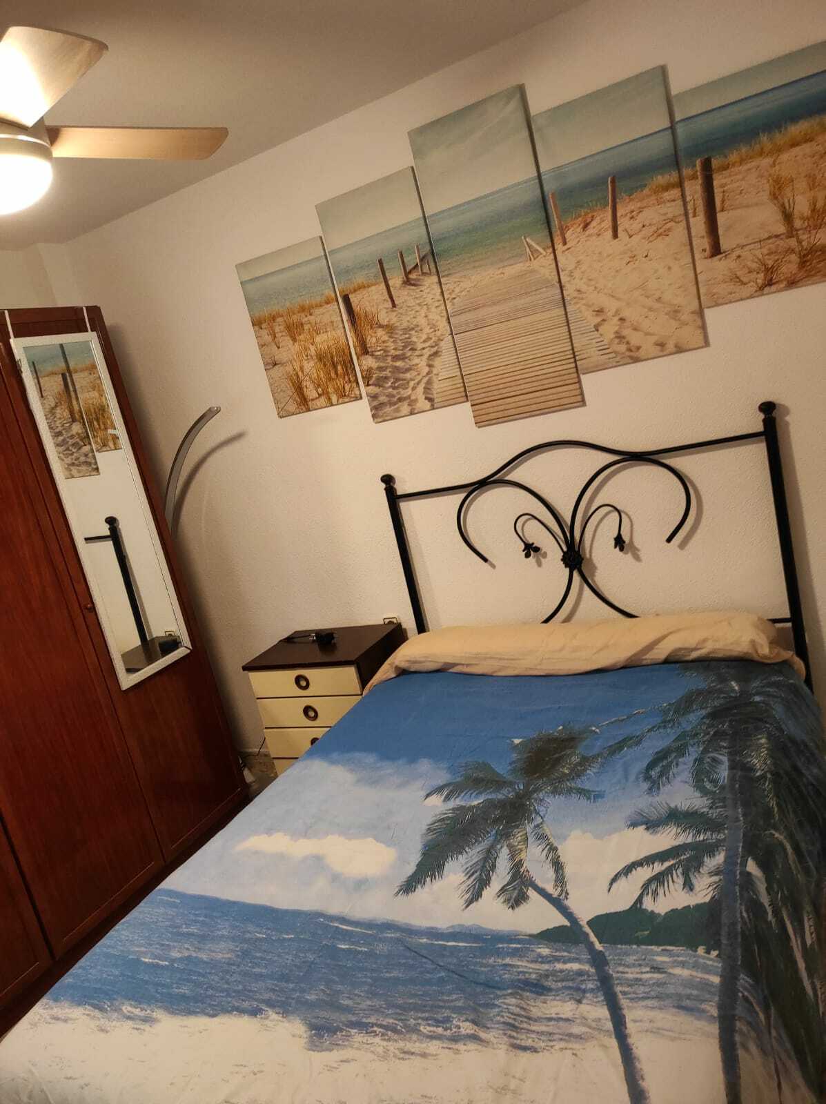 Colocation Alicante (Alacant) 186924