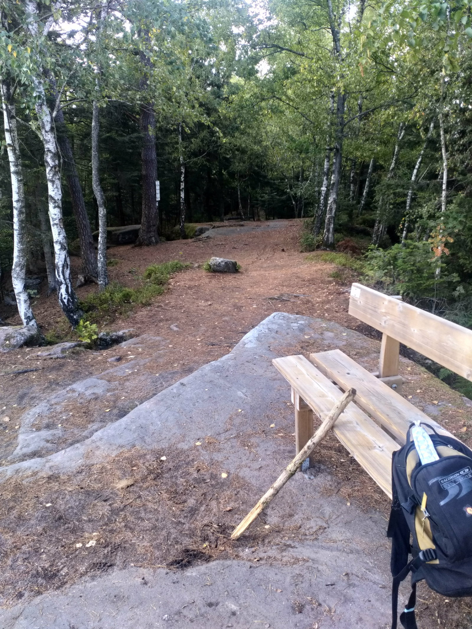 Homestay Étival-Clairefontaine 249721