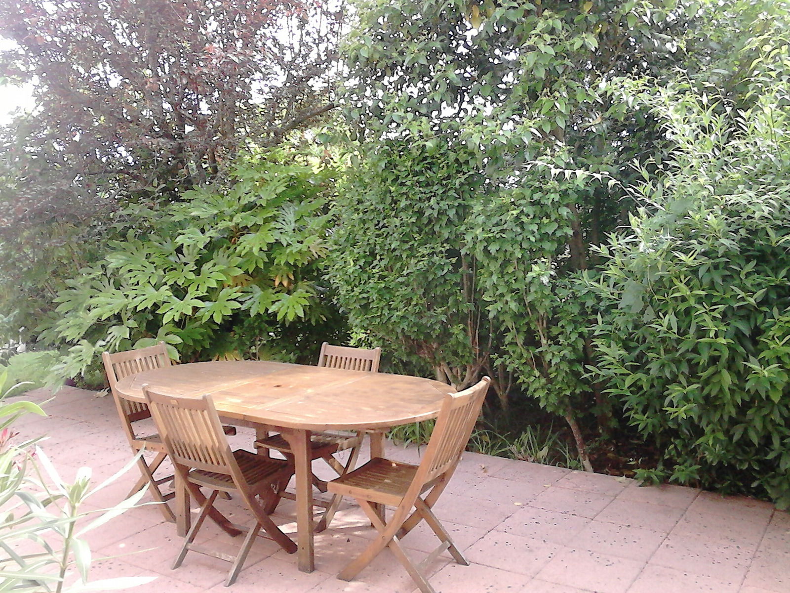 Homestay Puygouzon 137047