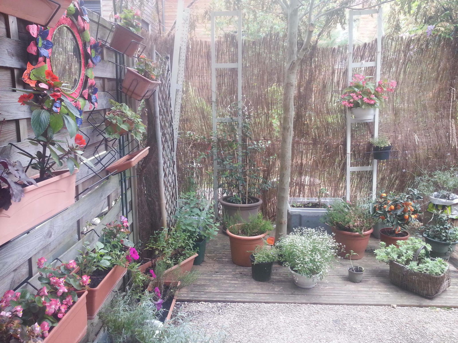 Homestay Athis-Mons 107504